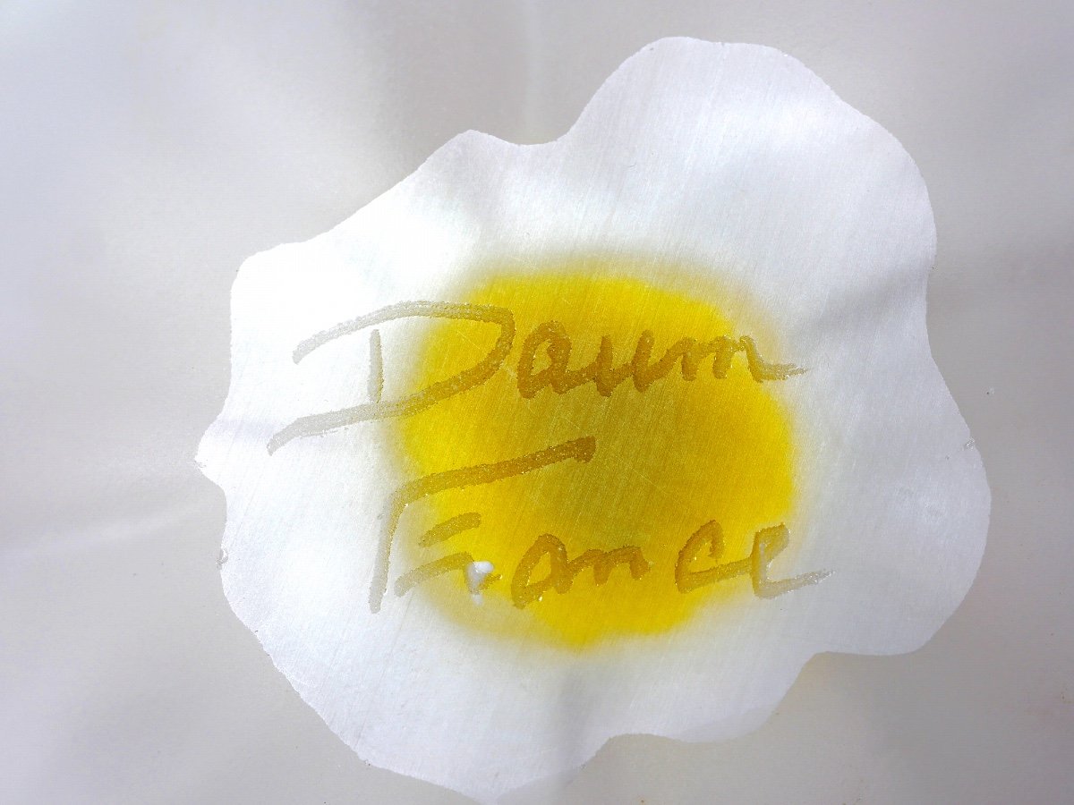 Daum France Fleur De Cactus By Hilton Mac Connico-photo-3