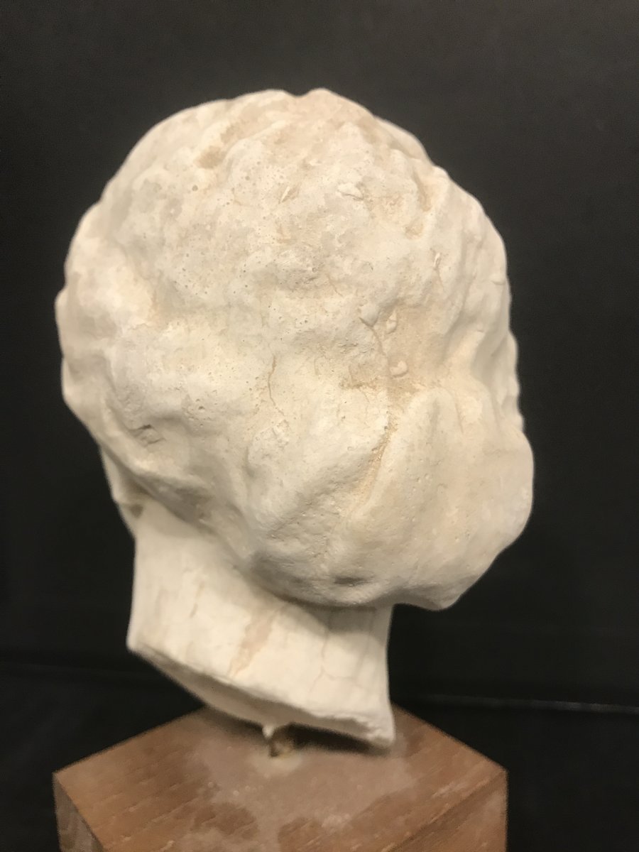 Head In Antique Plaster From The 1950s-photo-1