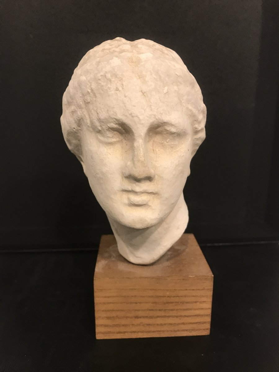 Head In Antique Plaster From The 1950s
