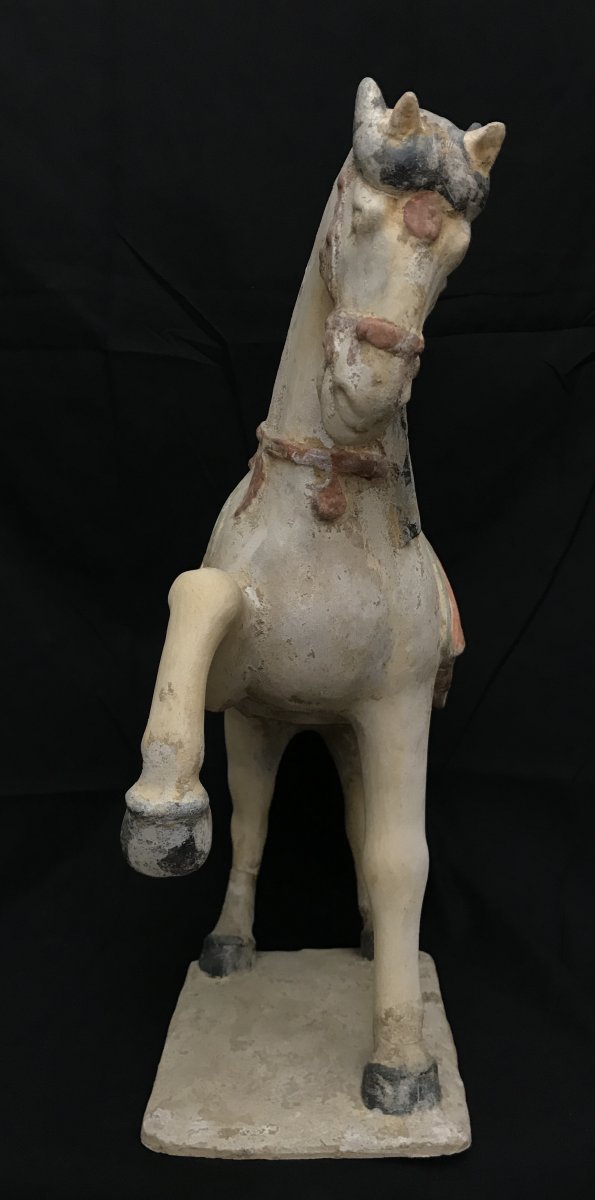 Grand Cheval En Terre Cuite- Fin époque  Qing -photo-3
