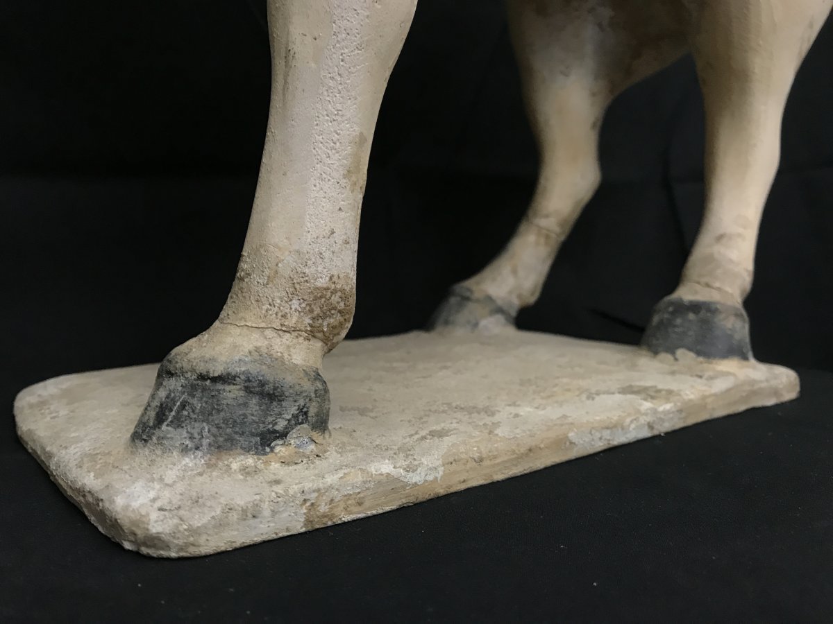 Grand Cheval En Terre Cuite- Fin époque  Qing -photo-4