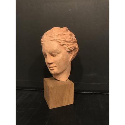 Antique Head In Terracotta On Base