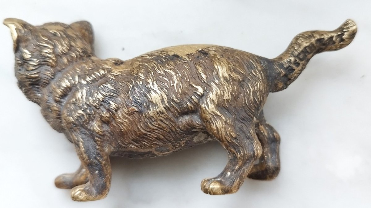 Chaton en Bronze de Vienne, Franz Bergman pour Geschützt-photo-3