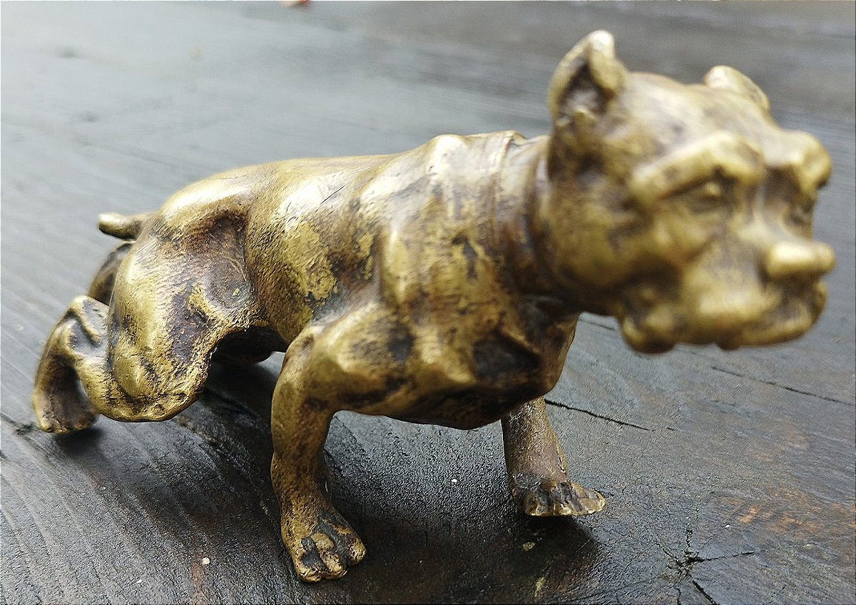 19th Century Bronze Bulldog-photo-3