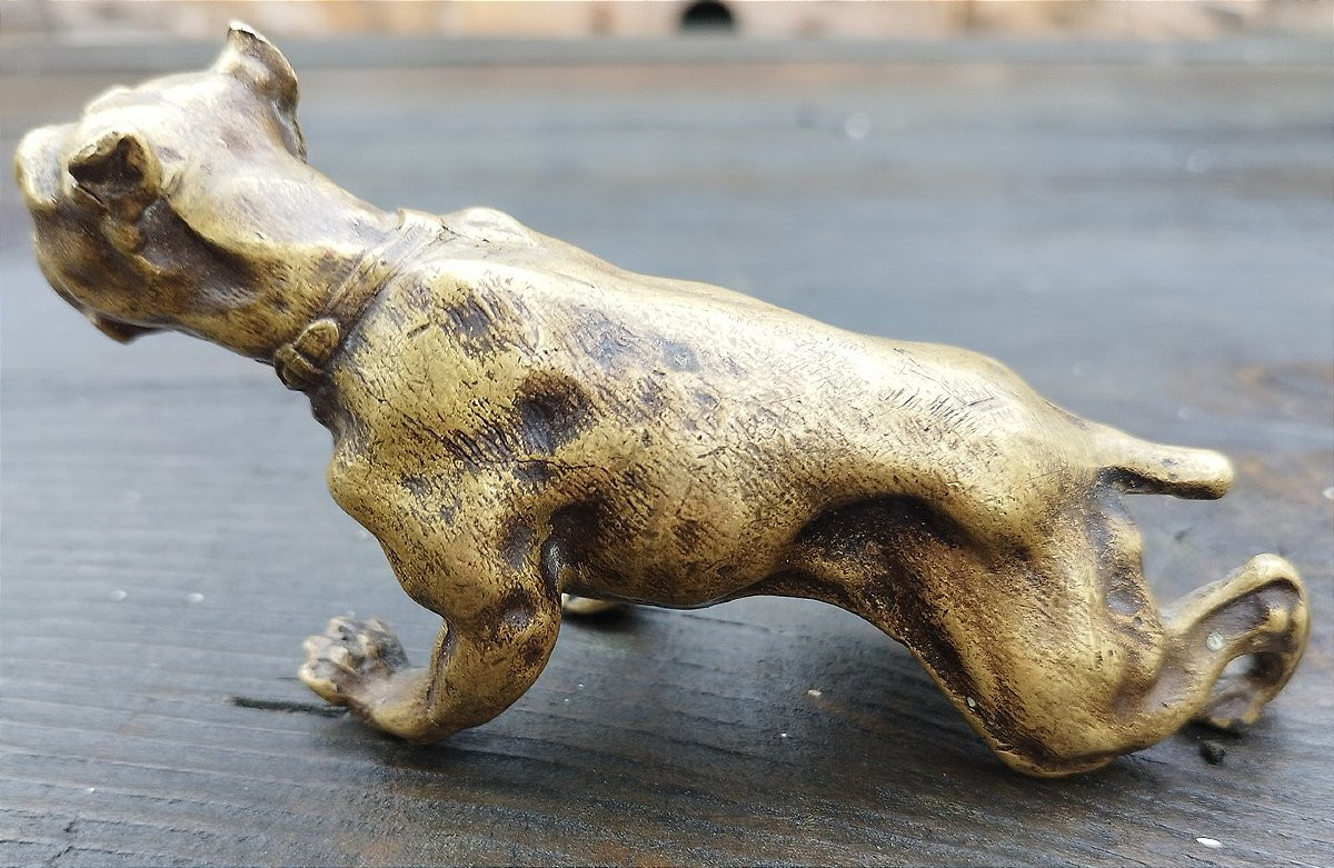 19th Century Bronze Bulldog-photo-3