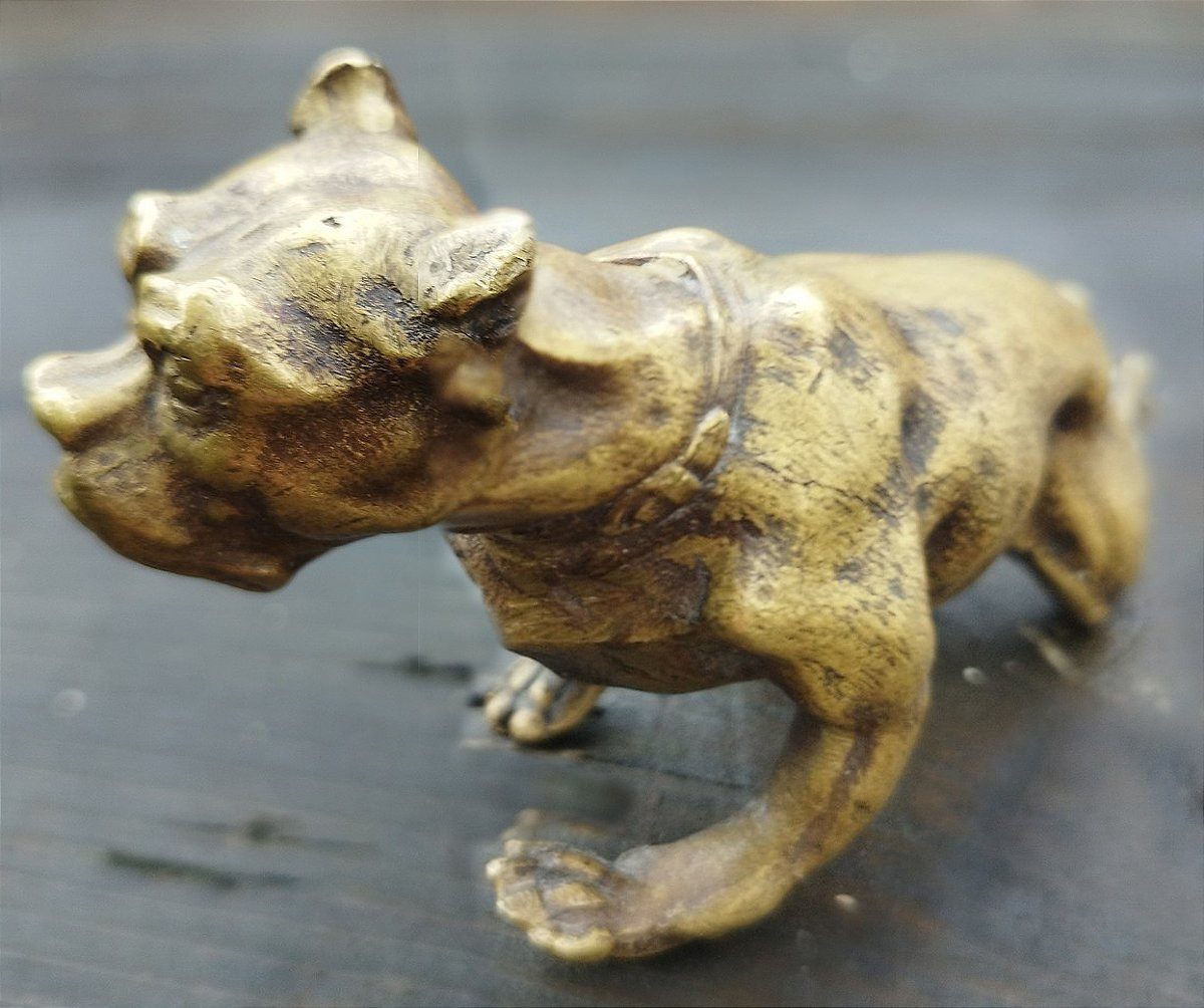 19th Century Bronze Bulldog-photo-4