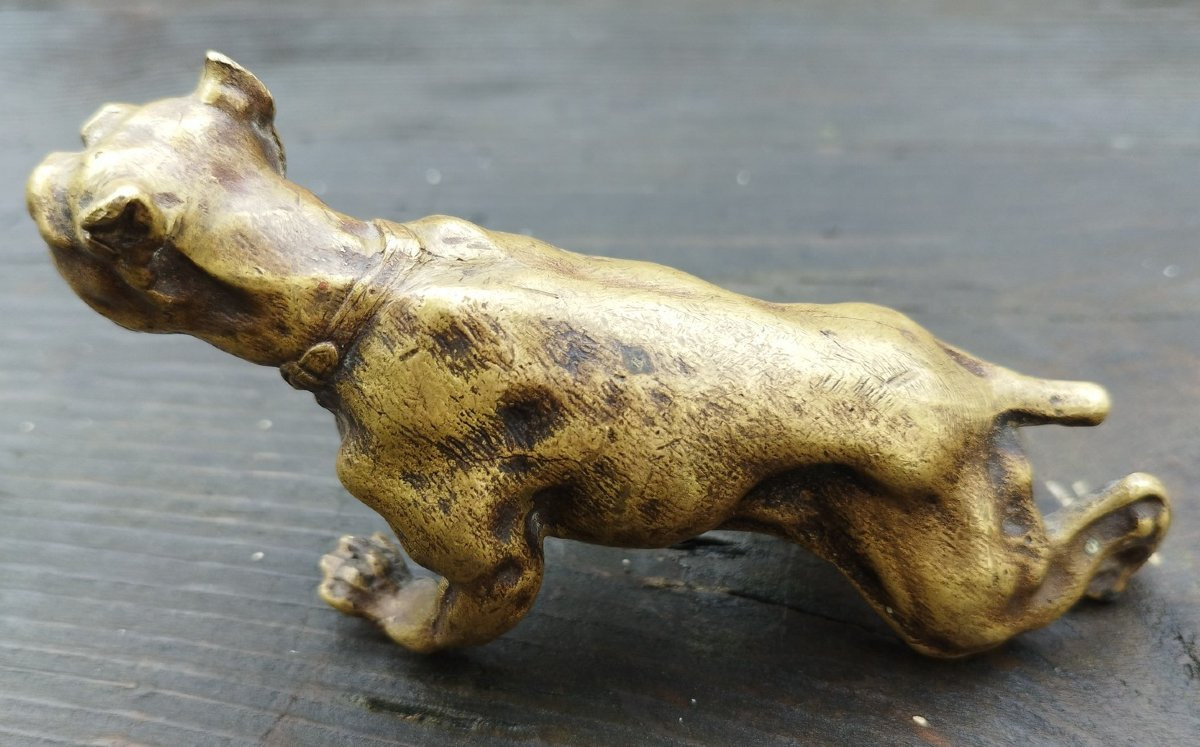 19th Century Bronze Bulldog-photo-6