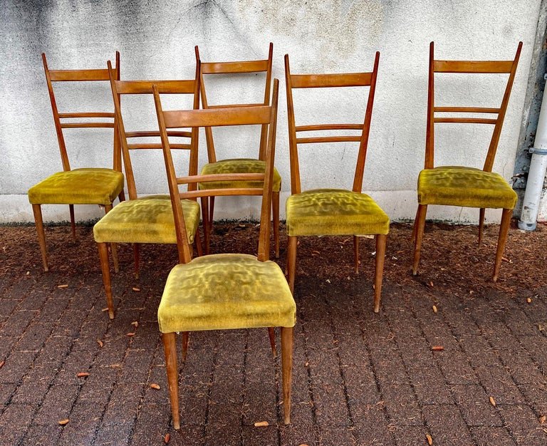 Roset , 6 Chaises à Hauts Dossiers En Frêne Circa 1950 , Style Gio Ponti-photo-2