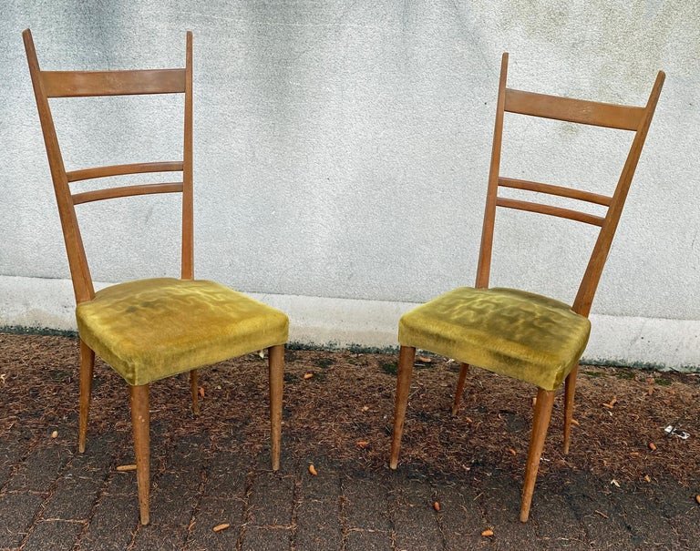 Roset , 6 Chaises à Hauts Dossiers En Frêne Circa 1950 , Style Gio Ponti-photo-3