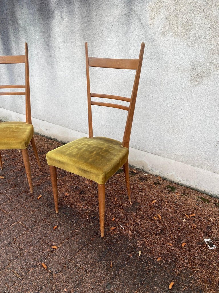 Roset , 6 Chaises à Hauts Dossiers En Frêne Circa 1950 , Style Gio Ponti-photo-1