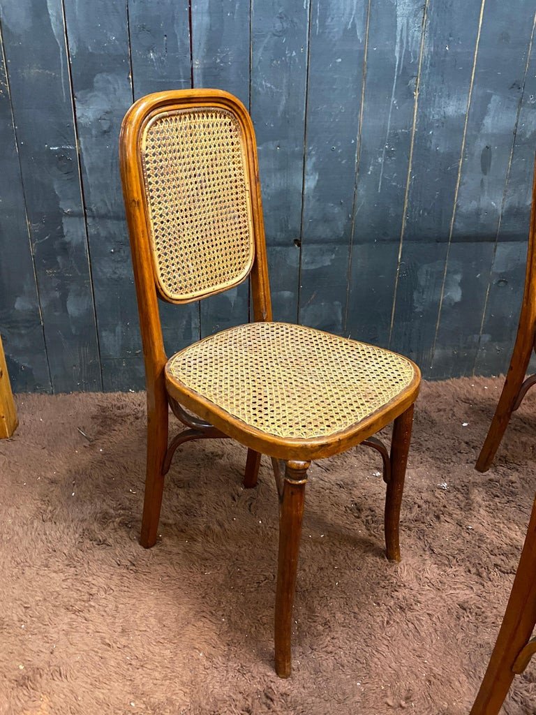 Suite Of 5 Thonet Style Chairs In Bent Wood Circa 1900-photo-2