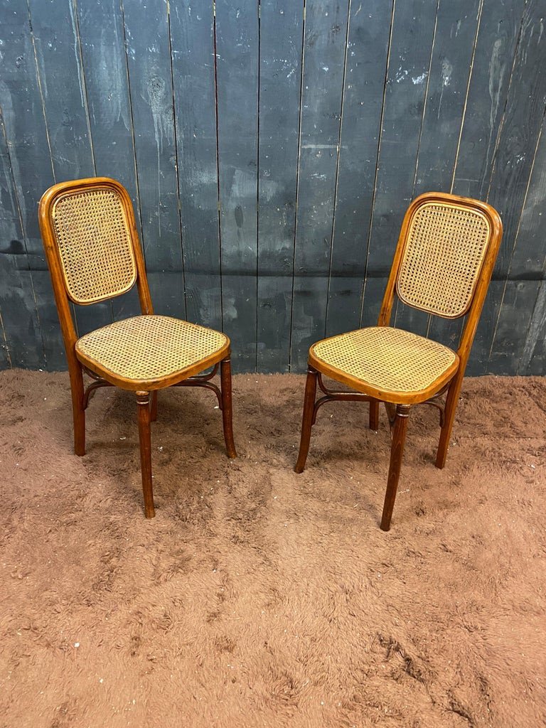 Suite Of 5 Thonet Style Chairs In Bent Wood Circa 1900-photo-4