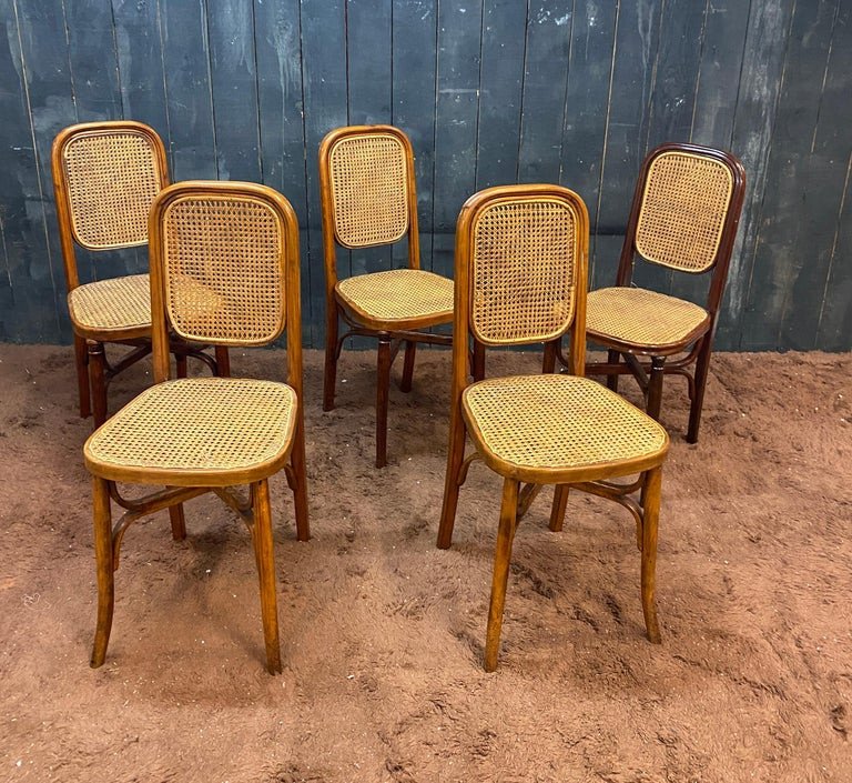 Suite Of 5 Thonet Style Chairs In Bent Wood Circa 1900-photo-1