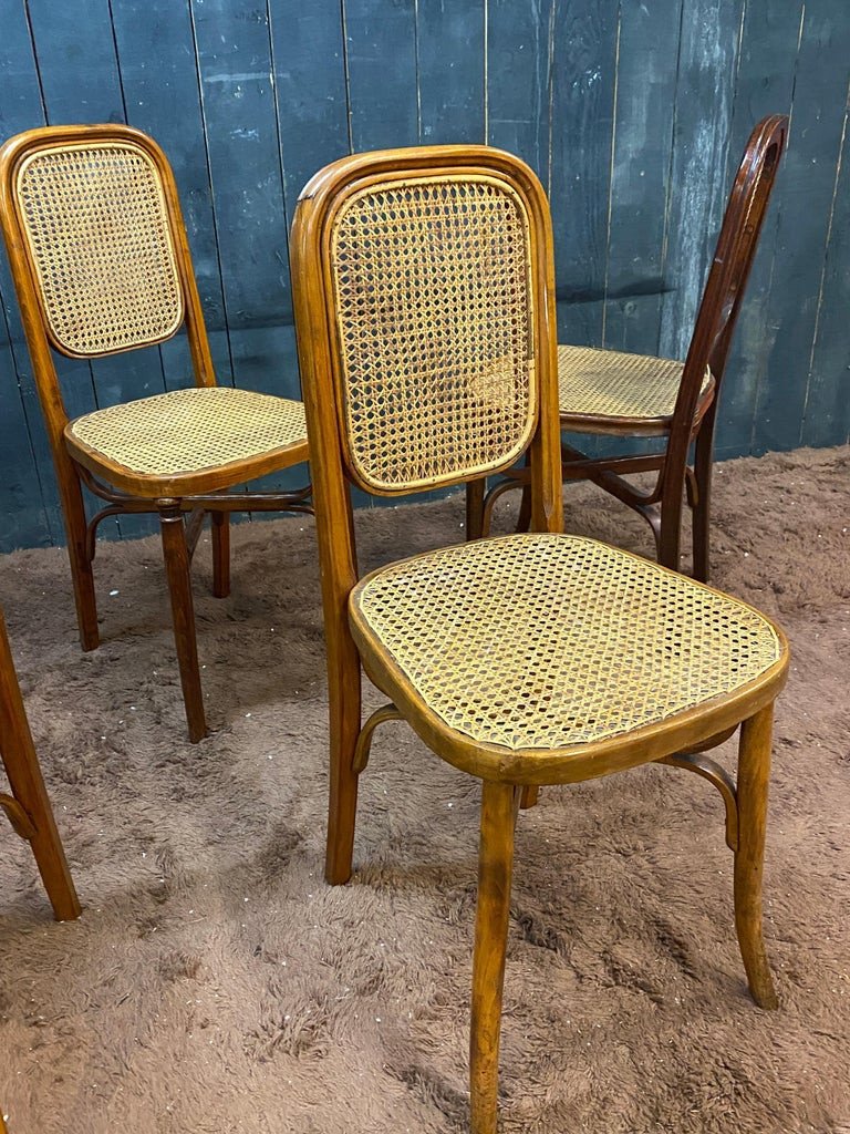 Suite Of 5 Thonet Style Chairs In Bent Wood Circa 1900-photo-6