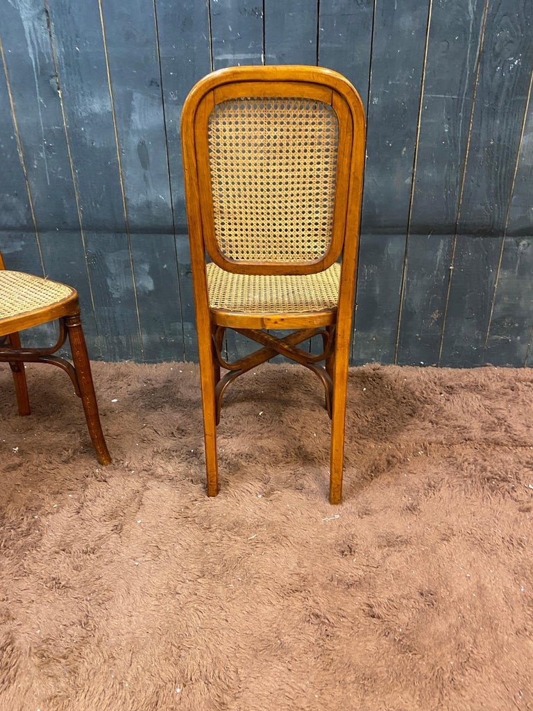 Suite Of 5 Thonet Style Chairs In Bent Wood Circa 1900-photo-7