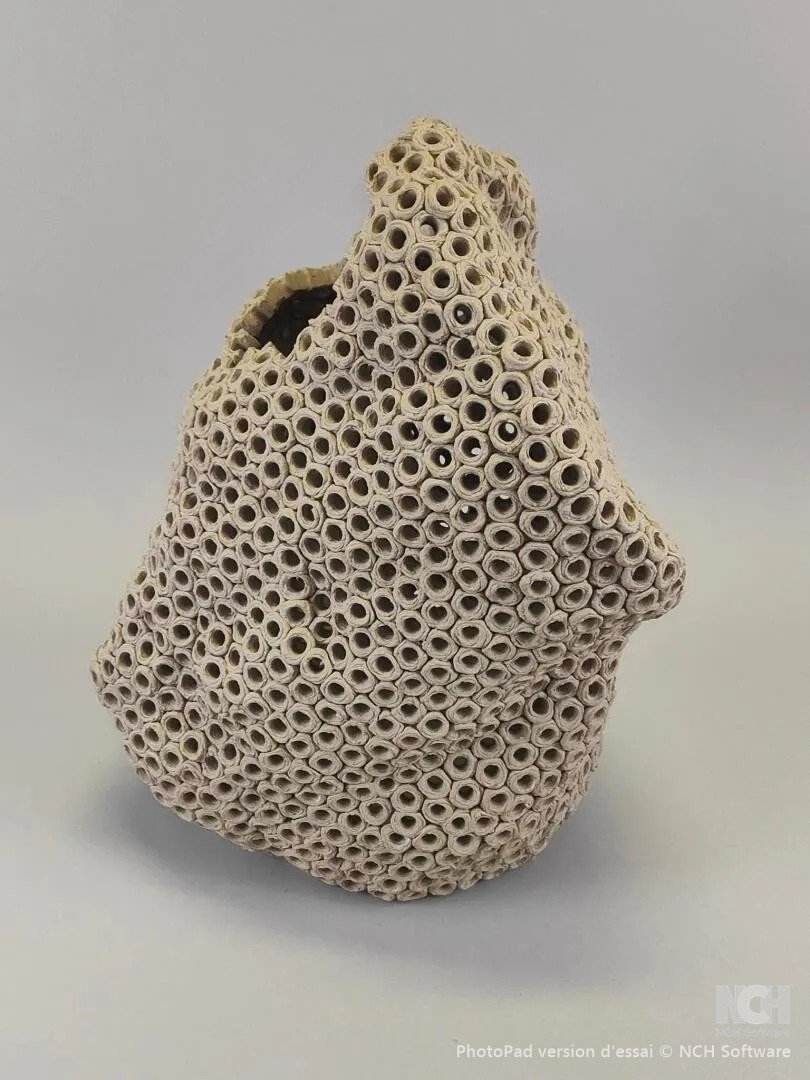 Gilles Caffier (1963) Vase En Céramique De Forme Libre ,signé Et Daté-photo-1