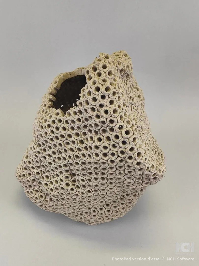 Gilles Caffier (1963) Vase En Céramique De Forme Libre ,signé Et Daté-photo-2
