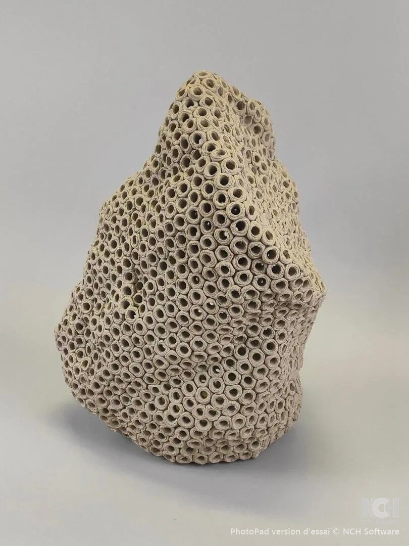 Gilles Caffier (1963) Vase En Céramique De Forme Libre ,signé Et Daté-photo-3