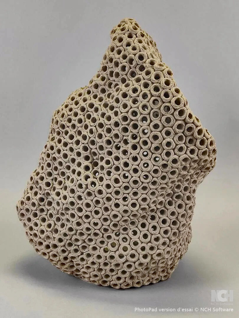 Gilles Caffier (1963) Vase En Céramique De Forme Libre ,signé Et Daté