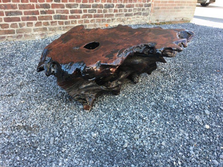 Organic Living Room Table Made From A Root Circa 1970-photo-2