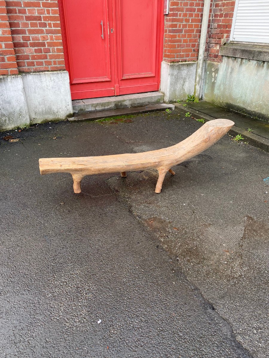 Banc Organique Composé d'Une Branche d'Arbre Sculptée Circa 1970-photo-1