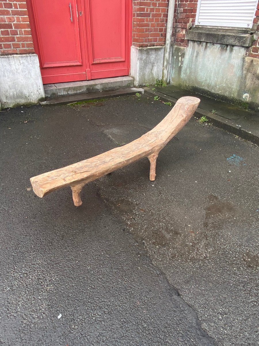 Banc Organique Composé d'Une Branche d'Arbre Sculptée Circa 1970-photo-4