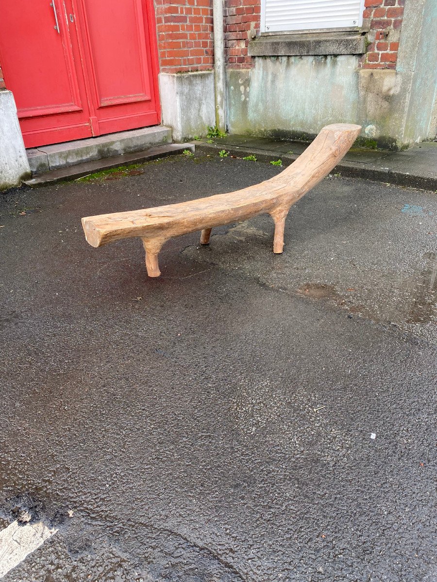 Banc Organique Composé d'Une Branche d'Arbre Sculptée Circa 1970