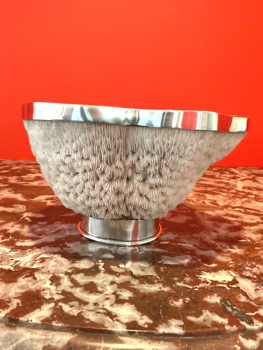 Important Coral Cup Set With A Silver Metal Border-photo-4