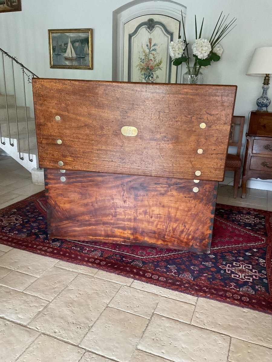 Rare Camphor Wood Chest -photo-7