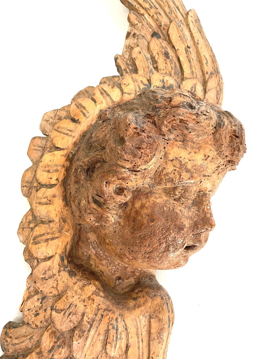 Pair Of Winged Cherub Heads In Carved Wood 18th Century -photo-2