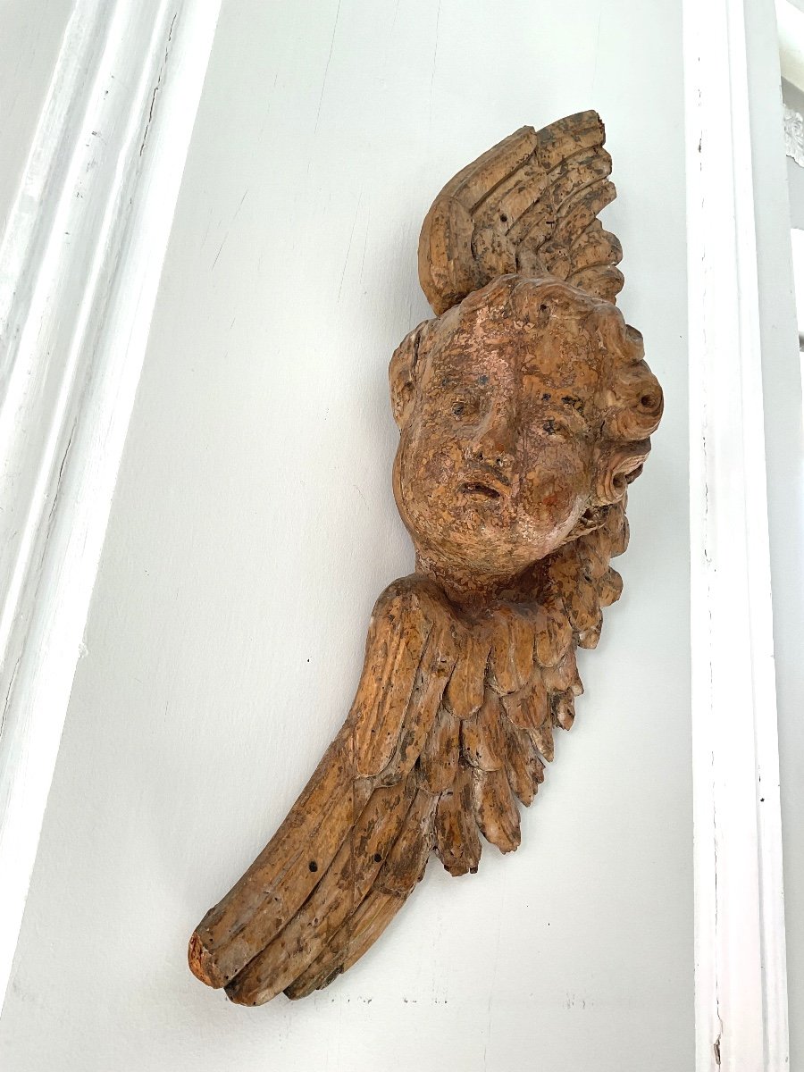 Pair Of Winged Cherub Heads In Carved Wood 18th Century -photo-3