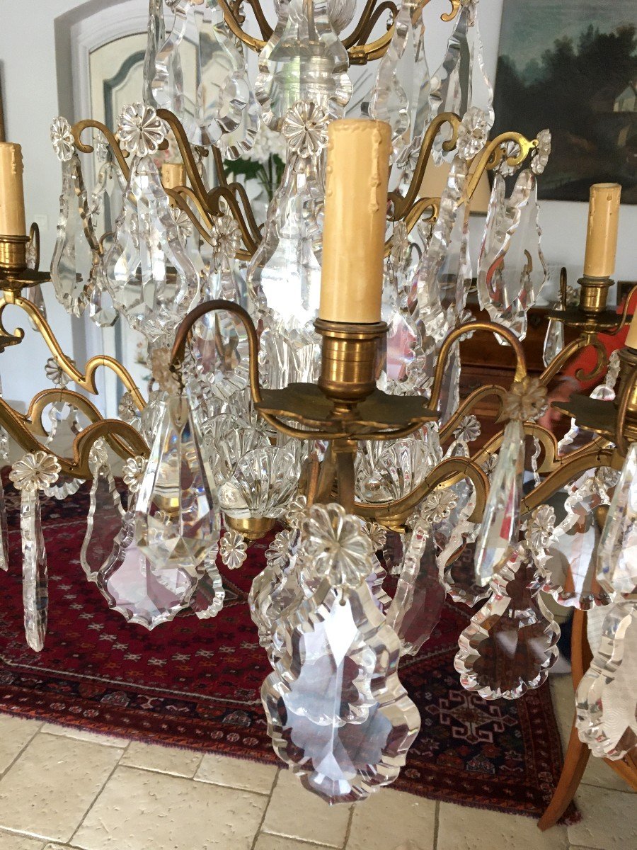 Crystal Plates Cage Chandelier-photo-4