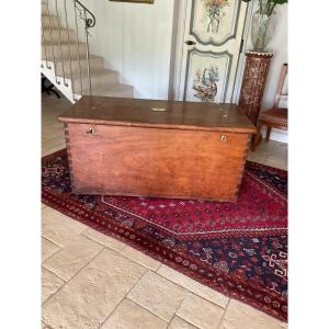 Rare And Spectacular Camphor Wood Chest 
