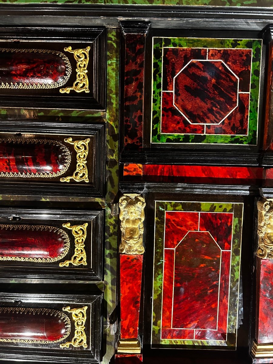 Rare Two-tone Tortoiseshell Cabinet XVII-photo-4