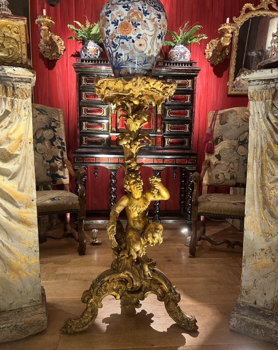Carved Satyr Skeleton, 18th Century, Gilded Wood -photo-3