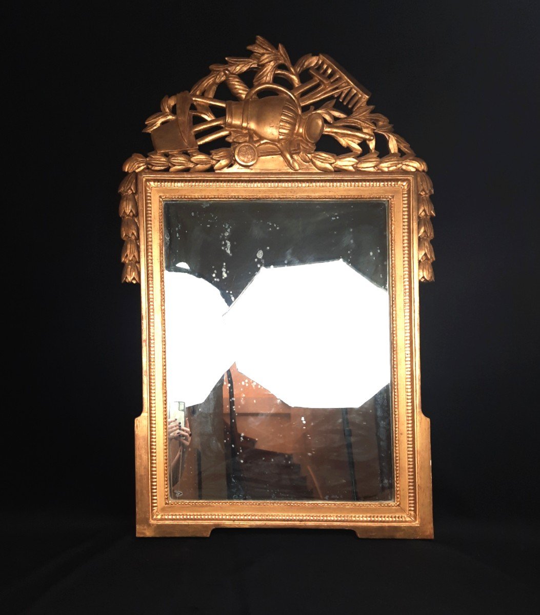 Mirror In Golden Wood Louis XVI Style (19th Century)