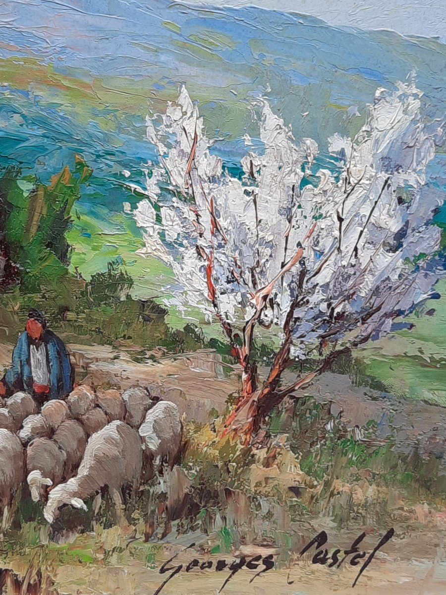 Oil On Hardboard - Sheep In Provence - By Georges Castel (20th Century)-photo-2