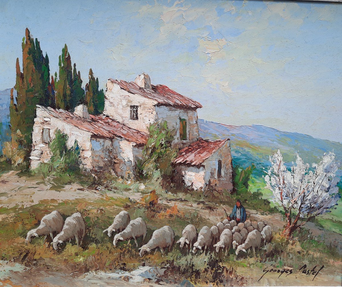 Oil On Hardboard - Sheep In Provence - By Georges Castel (20th Century)