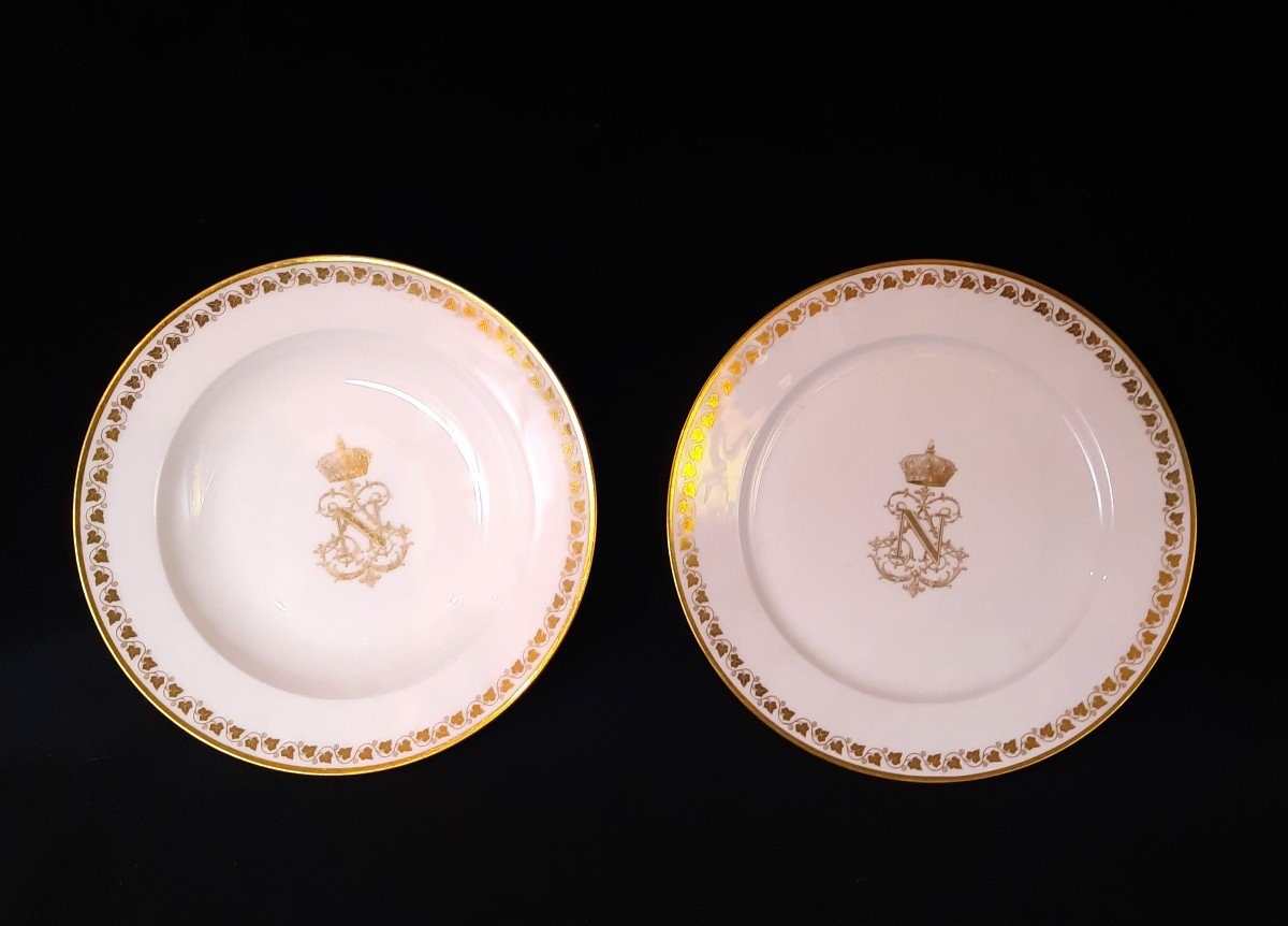Paire d'Assiettes En Porcelaine De Sèvre (xixe Siècle)