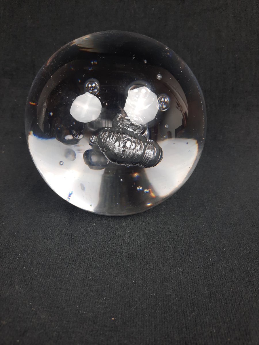Schneider - Paperweight / Crystal Sulfide-photo-3