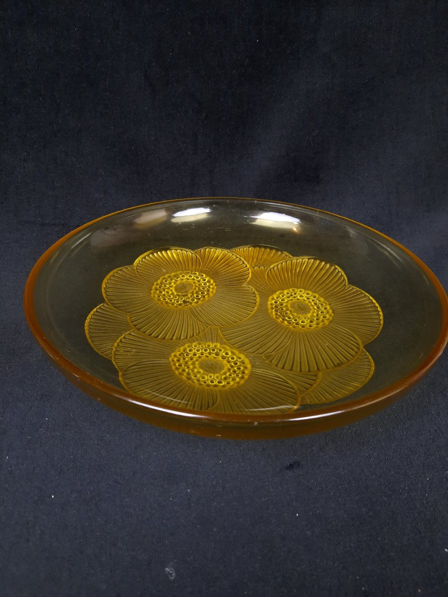 Verlys - coupe en verre Marguerite (XXe siècle)-photo-2