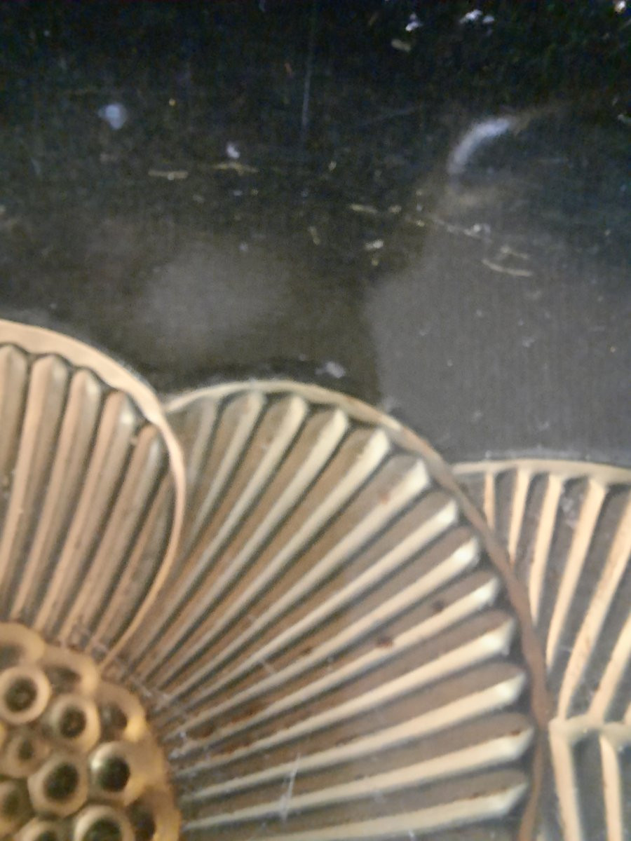 Verlys - coupe en verre Marguerite (XXe siècle)-photo-1