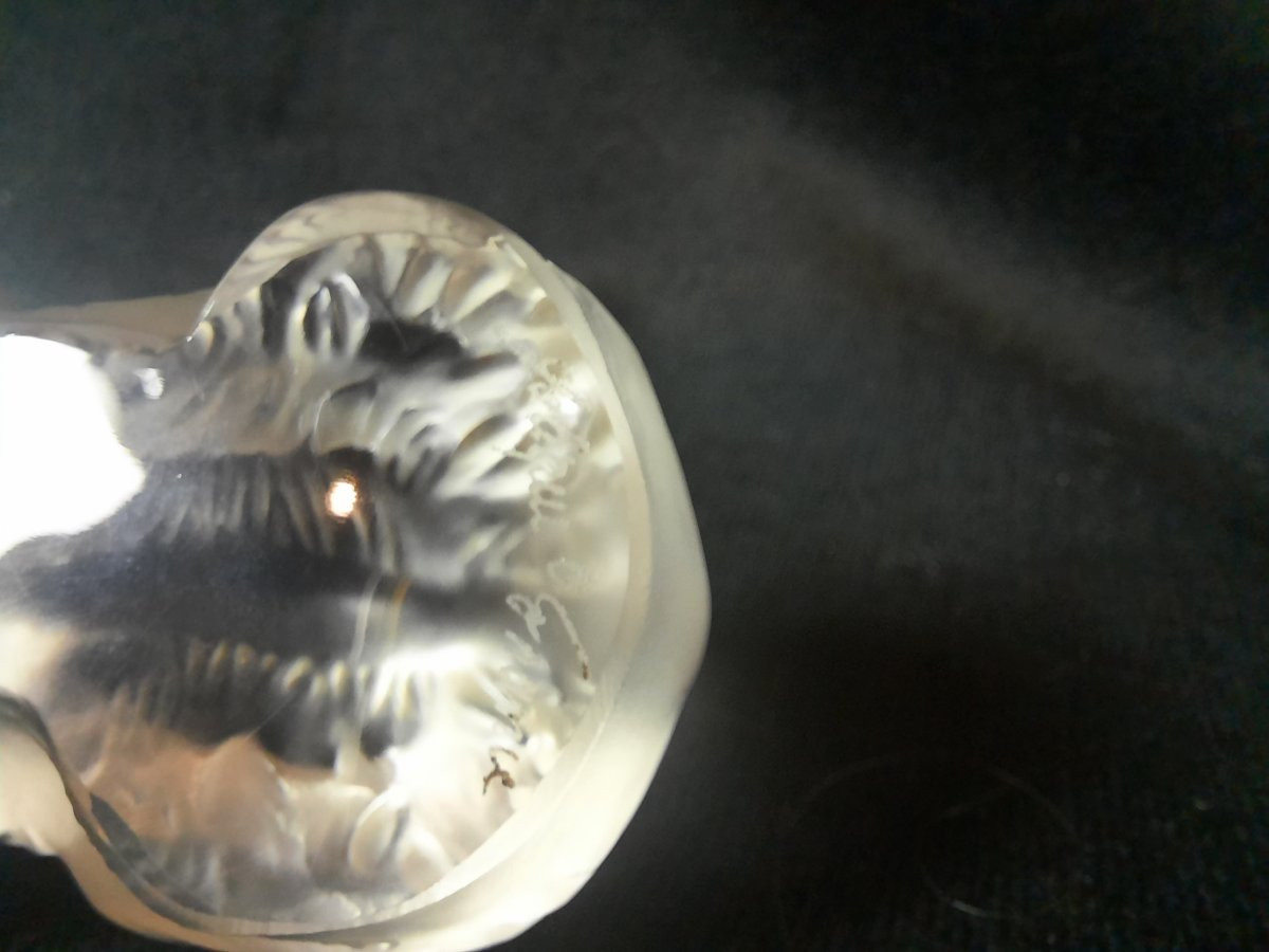 Lalique France - Presse papier Ours en cristal-photo-4