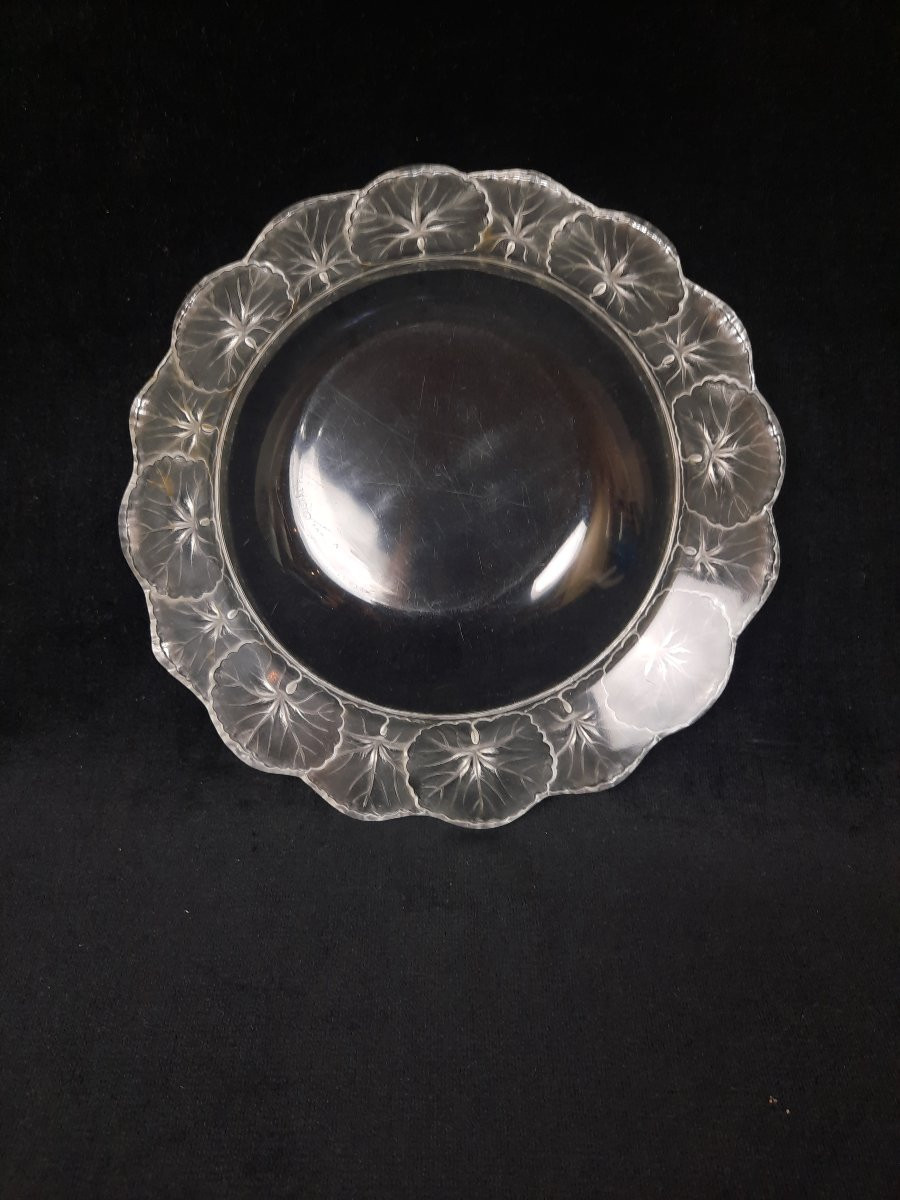Lalique France - Coupe en cristal - Honfleur - géranium -photo-4