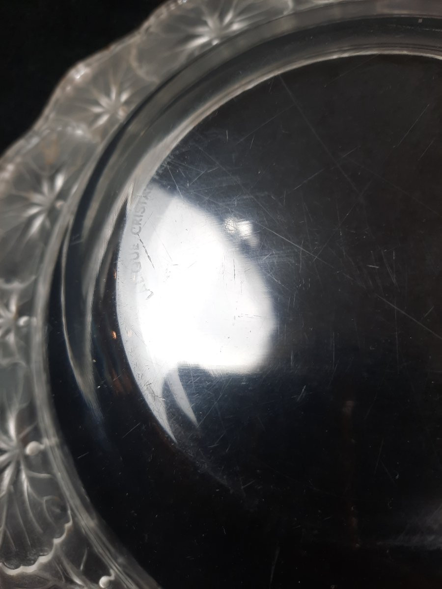 Lalique France - Coupe en cristal - Honfleur - géranium -photo-1