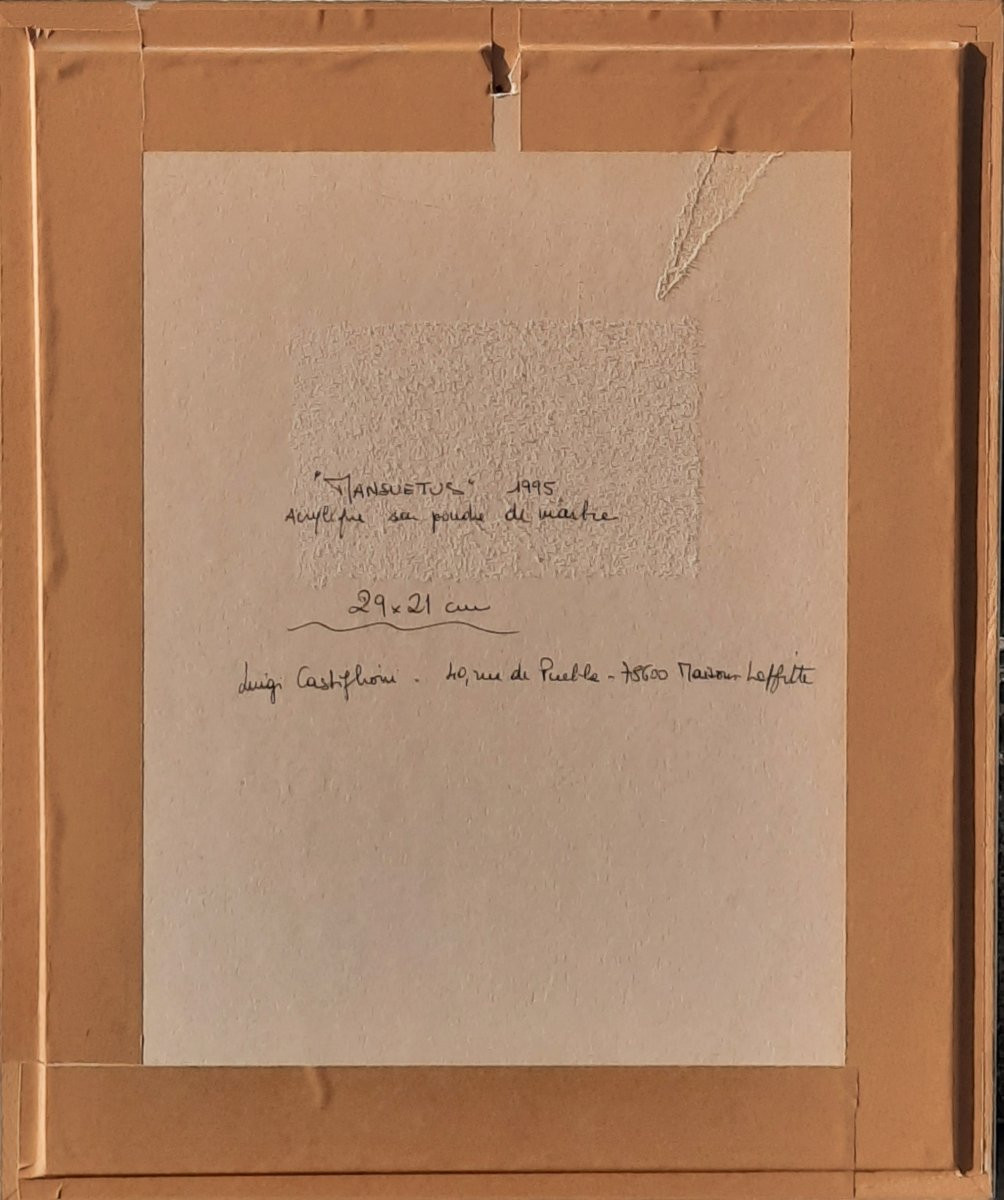 Luigi Castiglioni (1936–2003) - Acrylique sur poudre de marbre - Chat-photo-1