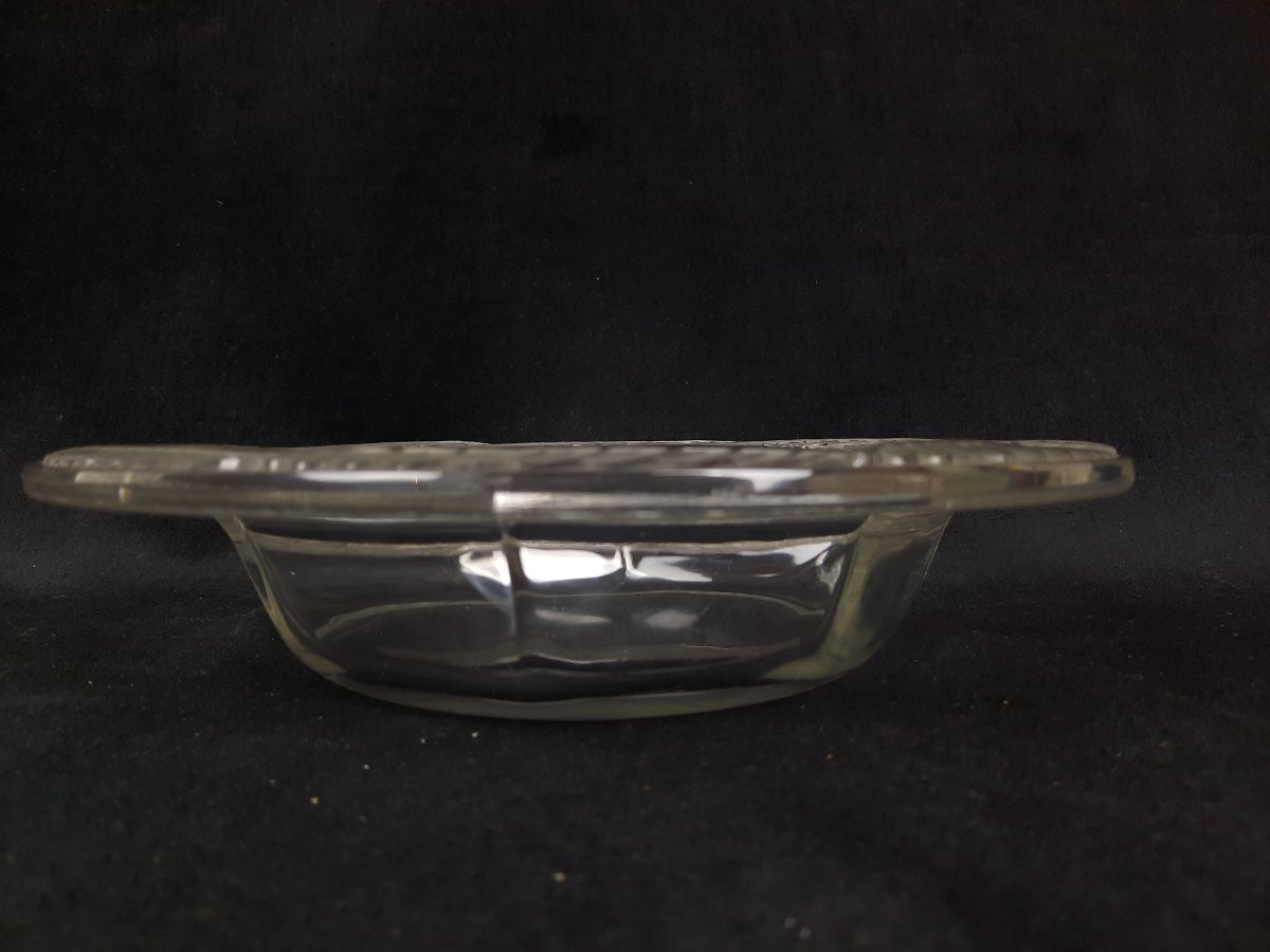 Lalique France - Coupe  en Verre moulé – Modèle Hespérides -photo-3