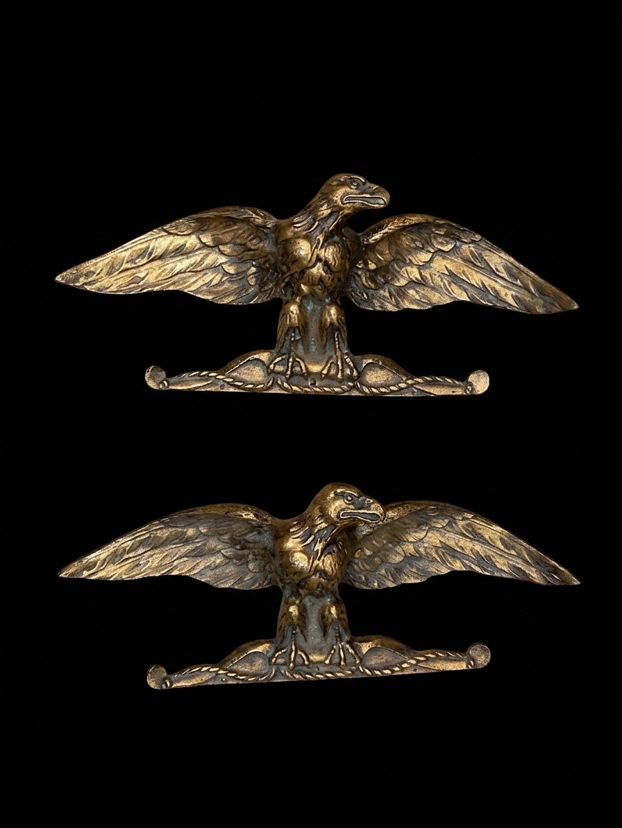 Ensemble de deux aigles d'appliques en bronze doré - style Empire-photo-3