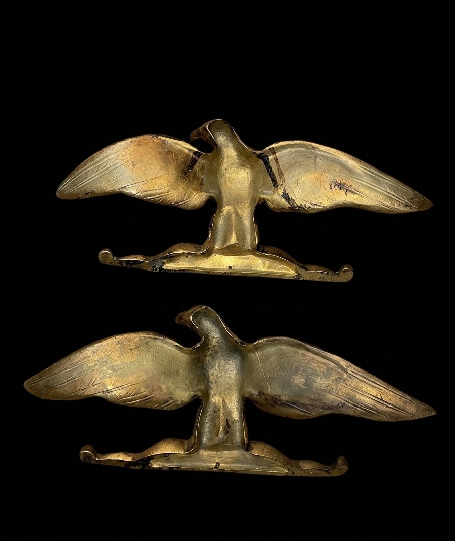 Ensemble de deux aigles d'appliques en bronze doré - style Empire-photo-4