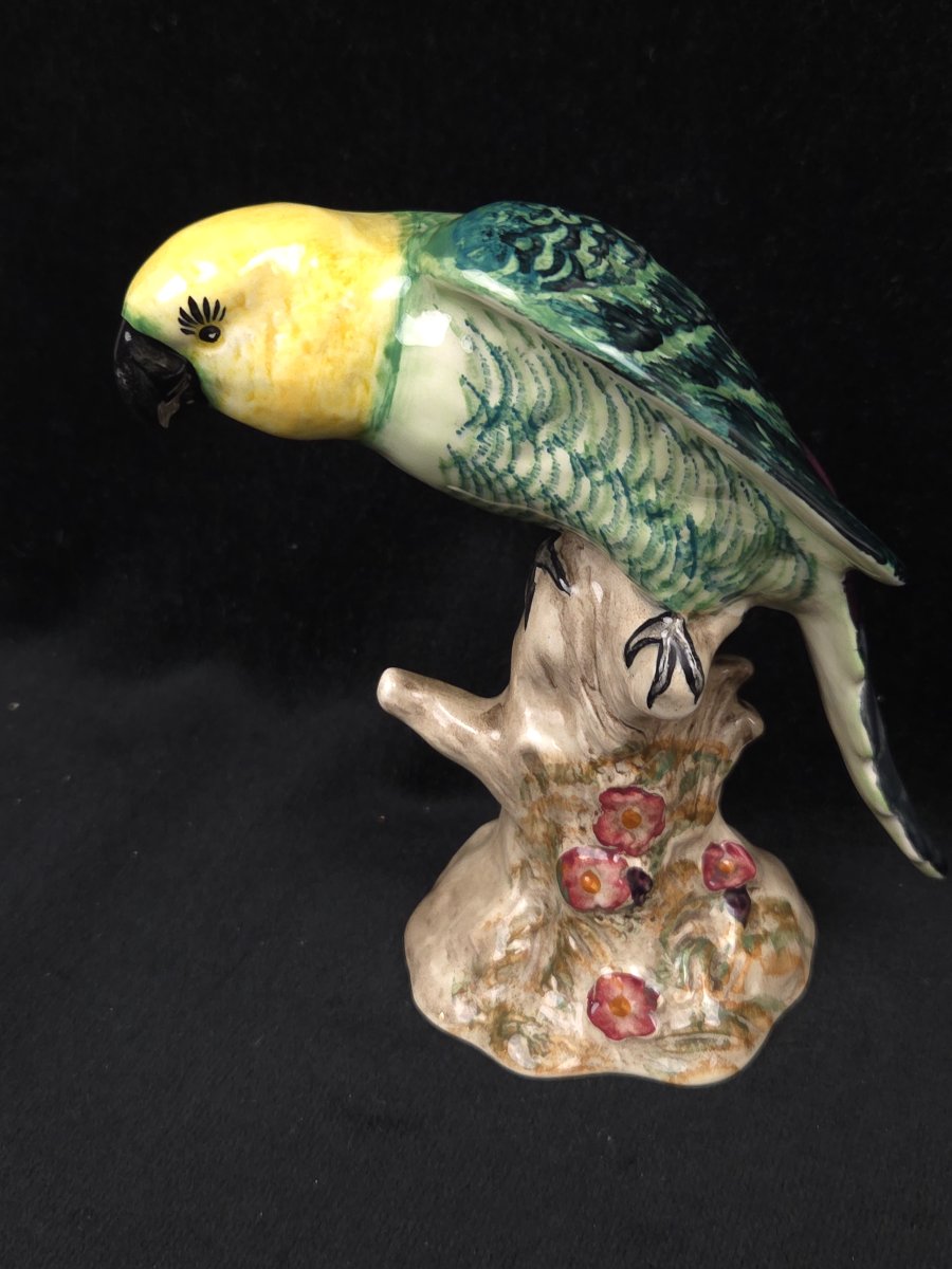 Figurine en céramique anglaise - Perroquet - Shelley England-photo-2